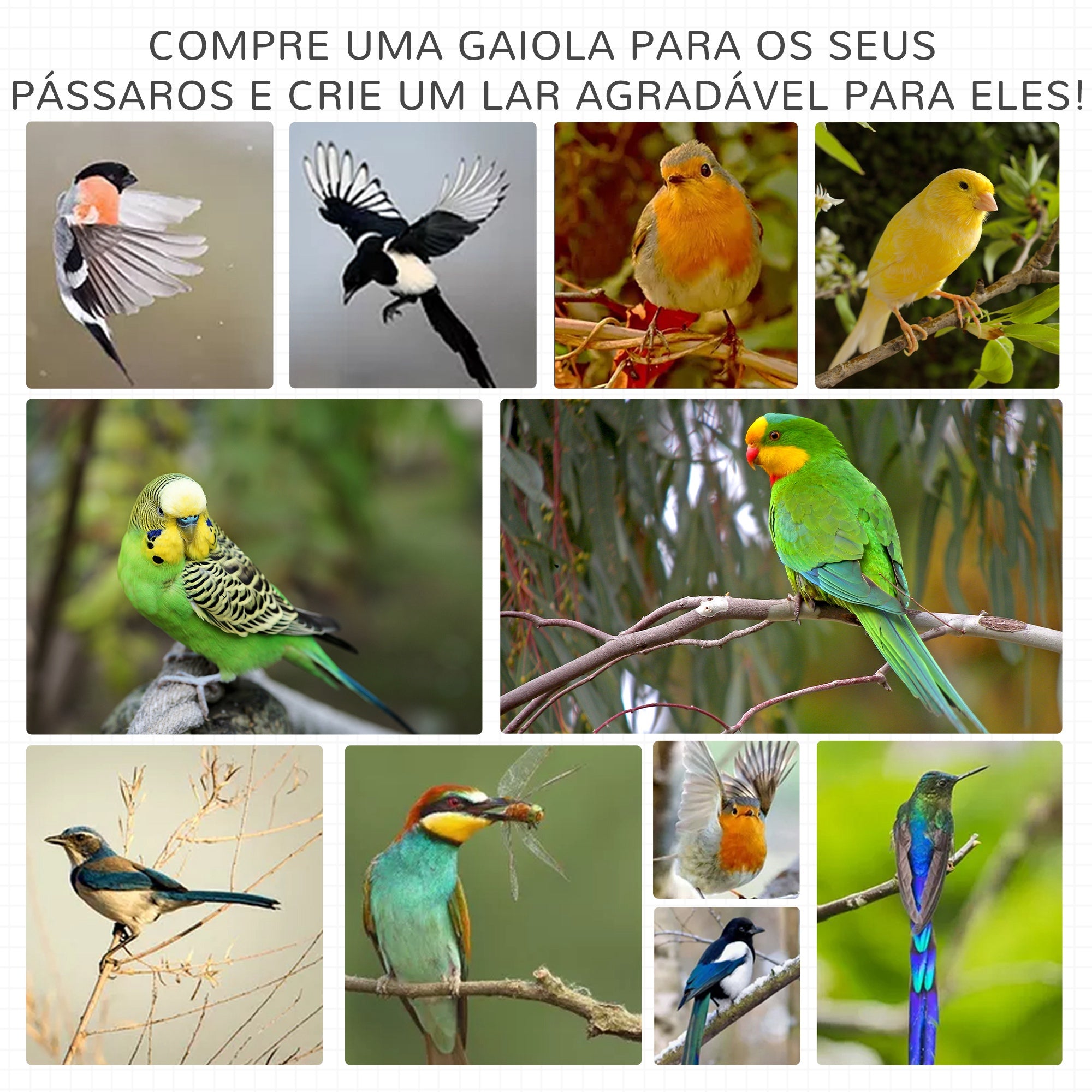 Gaiola para Pássaros de Madeira Cinza Claro 80,5x57x153 cm