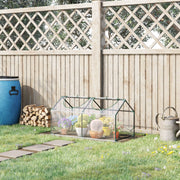 Estufa de Jardim 119x60x60cm Transparente