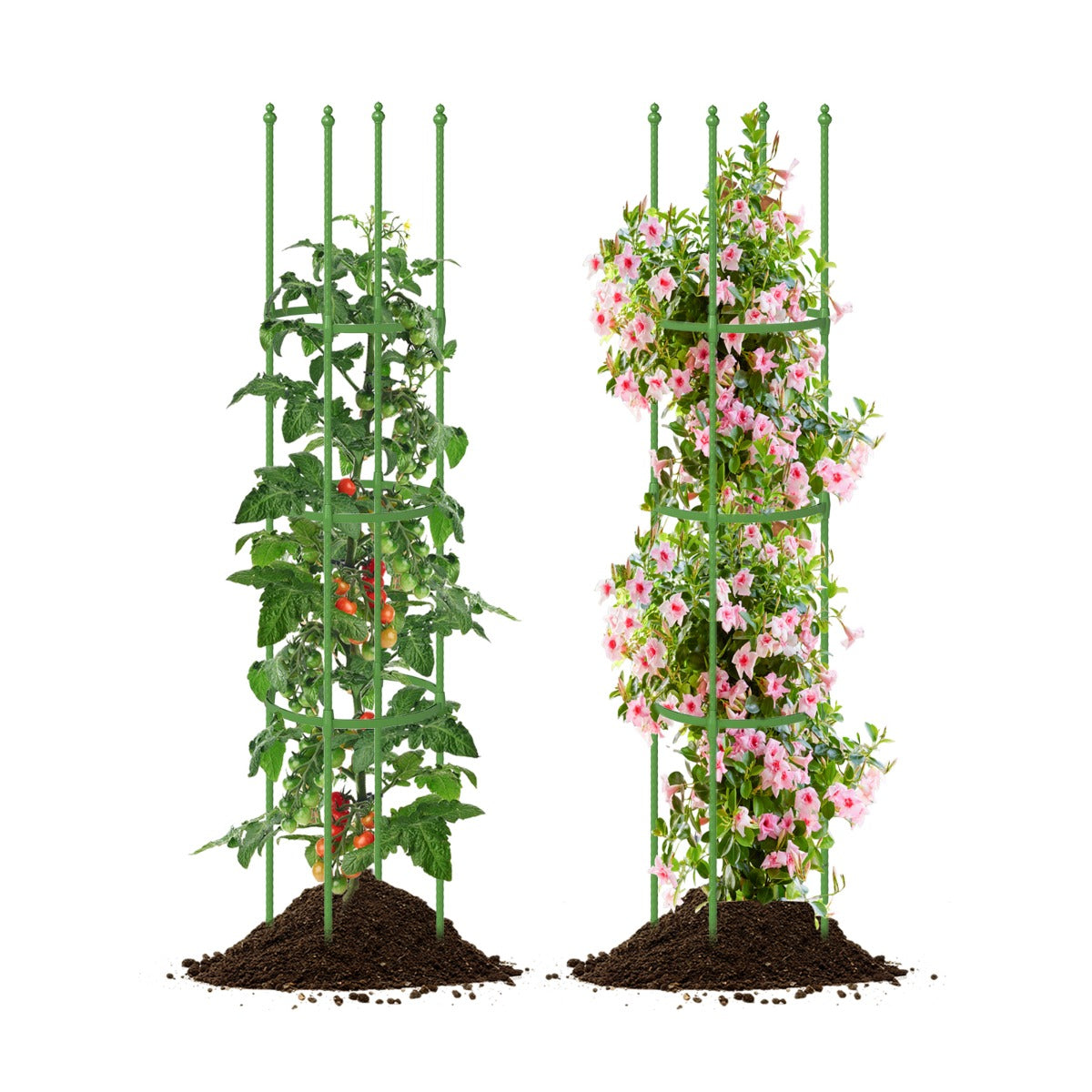 Conjunto de 2 Gaiolas para Tomates 145 cm de Altura Treliça para Vasos Suporte para Plantas Trepadeiras de Interior e Exterior