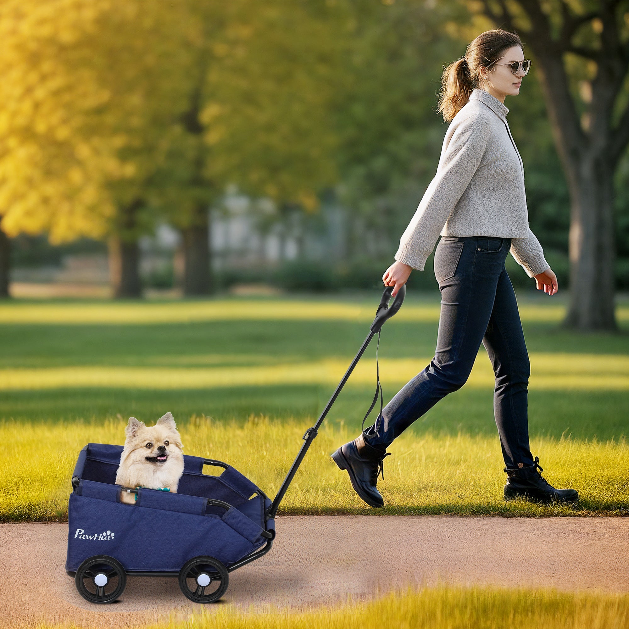 Carrinho para Cães Miniatura 53x45x28 cm - Azul