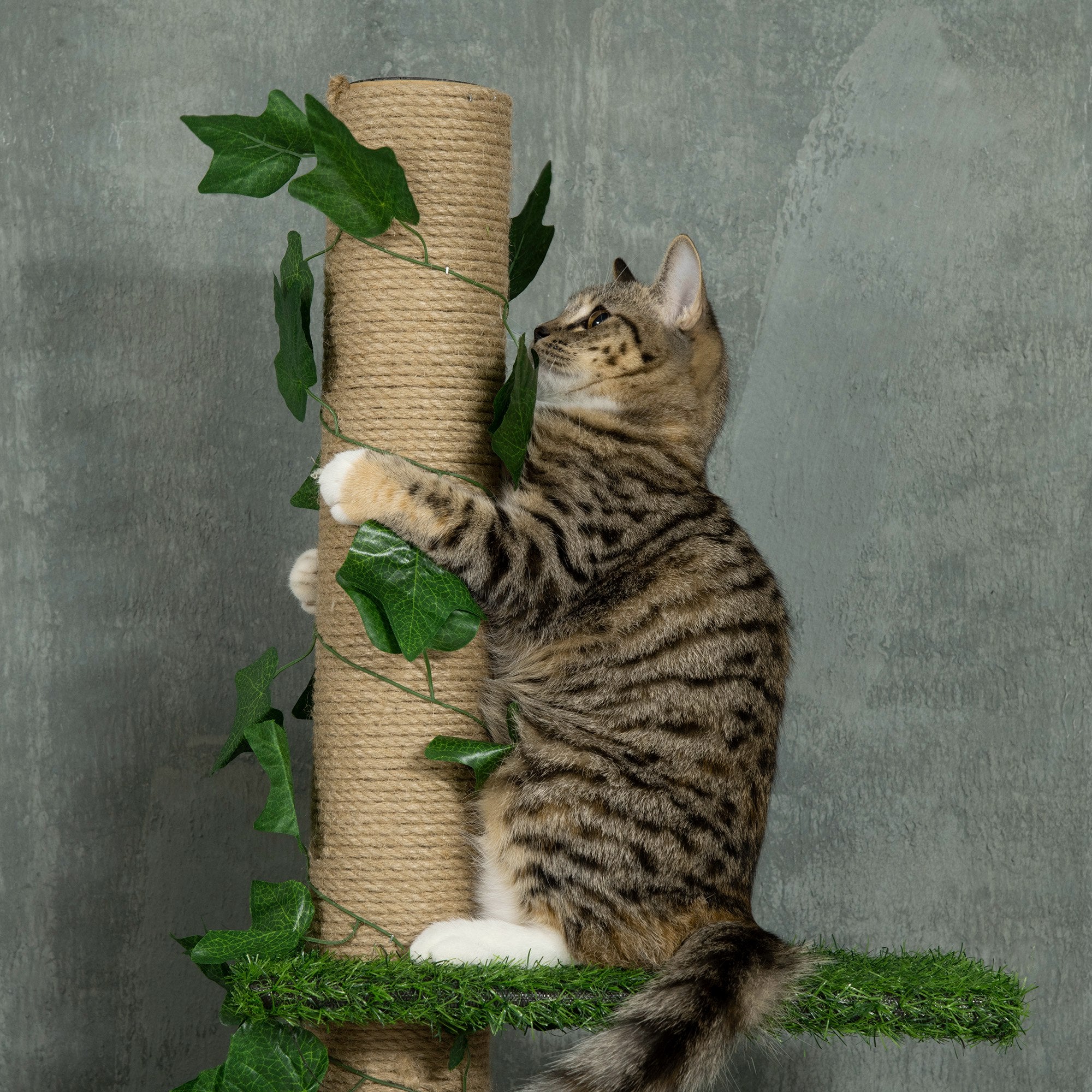 Arranhador para Gatos Chão ao Teto 37x21x242 cm Bege e Verde