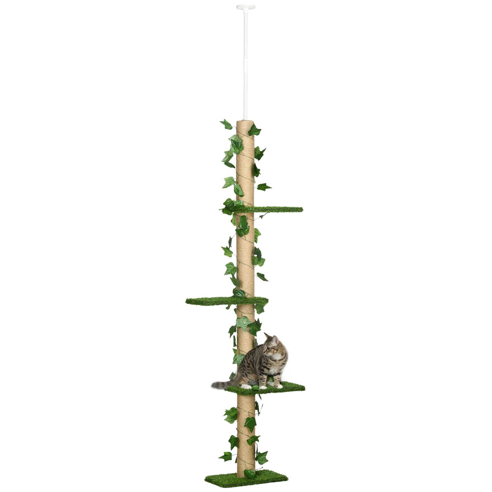 Arranhador para Gatos Chão ao Teto 37x21x242 cm Bege e Verde