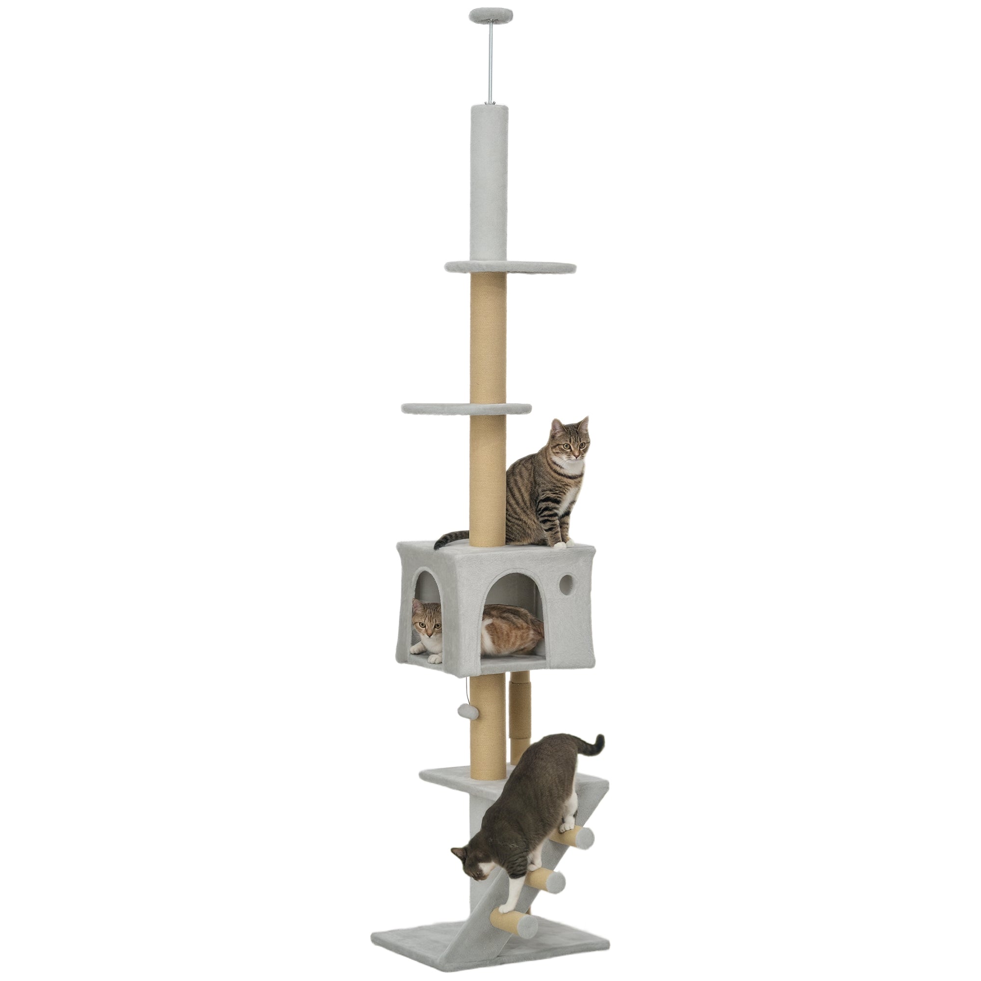 Arranhador para Gatos Cinza Claro 48x40x225-265 cm - Centro de Atividades Ajustável