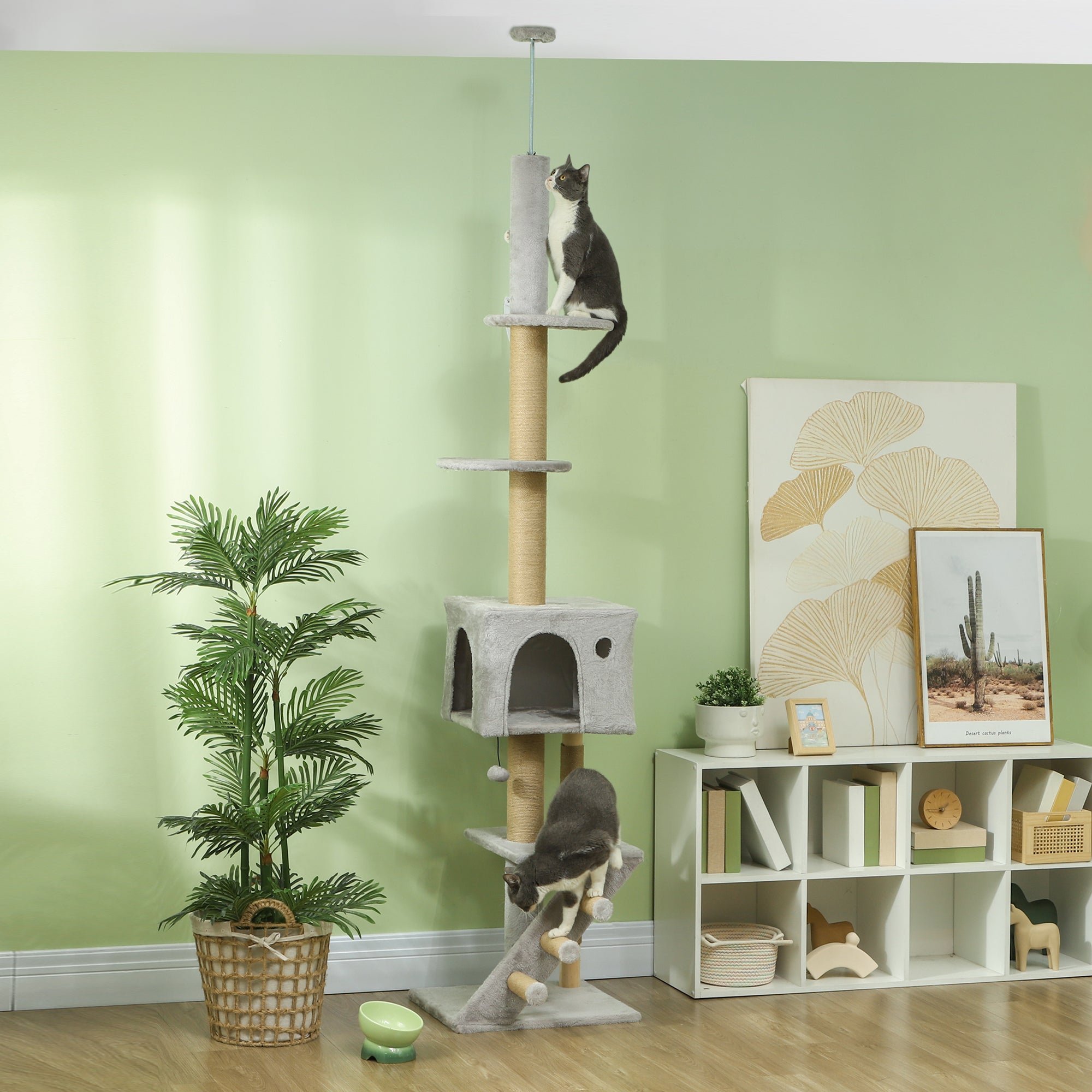 Arranhador para Gatos Cinza Claro 48x40x225-265 cm - Centro de Atividades Ajustável