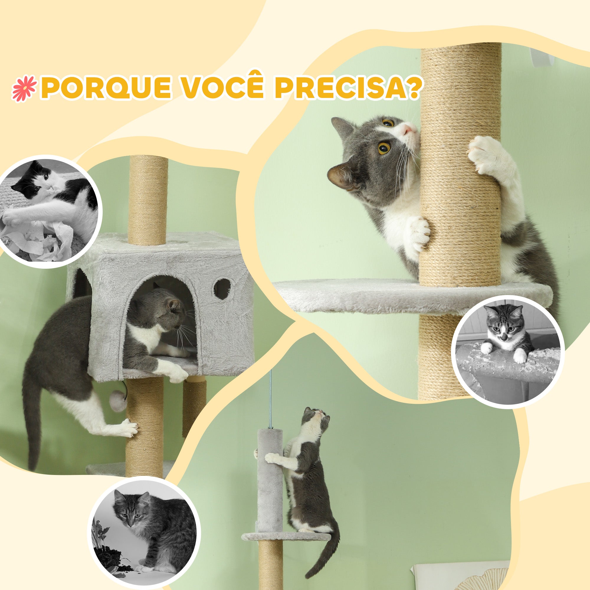 Arranhador para Gatos Cinza Claro 48x40x225-265 cm - Centro de Atividades Ajustável